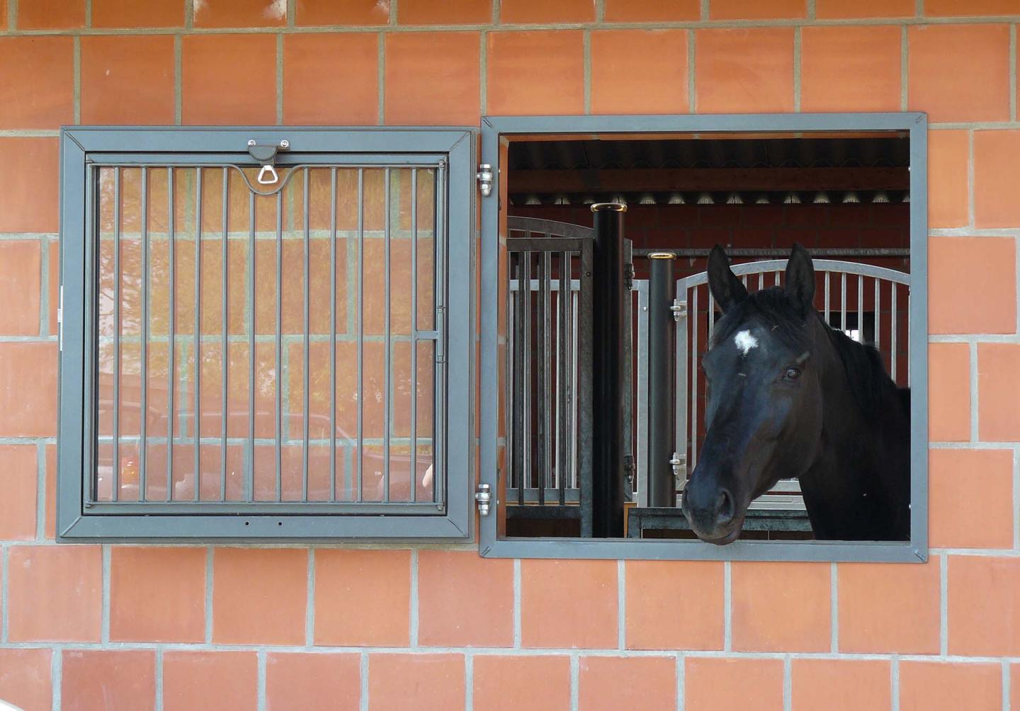 The Design And Functionality Of Barn Doors And Windows, Why They Are Crucial.